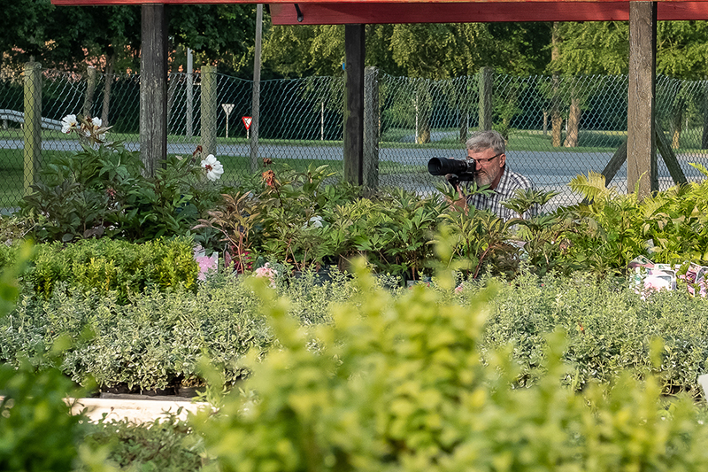 Vejen Fotoklub Blomsterstedet6