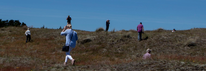 Vejen Fotoklub sommerafslutning7